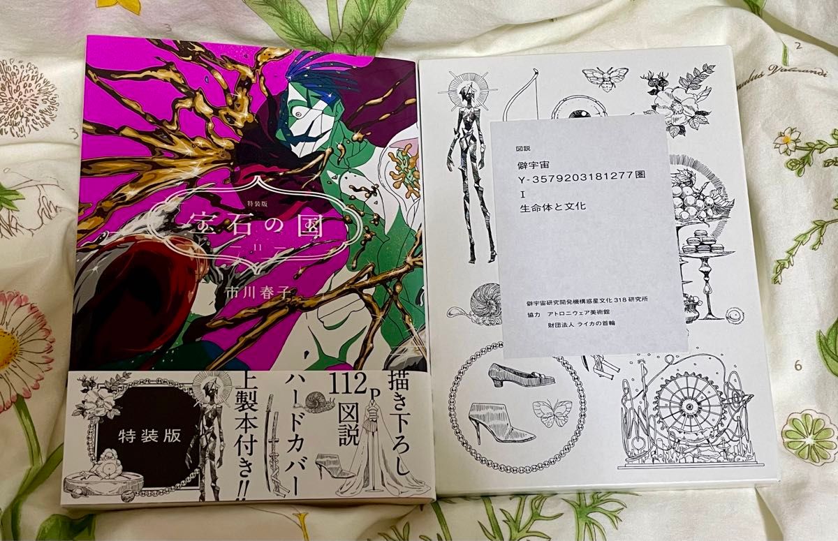 特装版 宝石の国11巻 図説 市川春子 初版｜Yahoo!フリマ（旧PayPayフリマ）