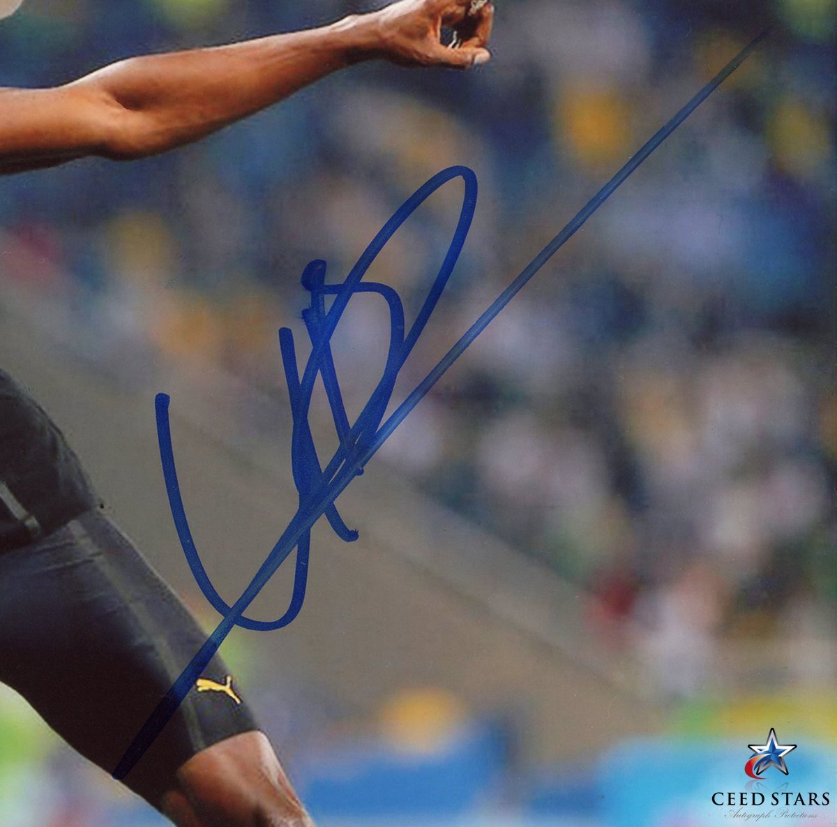 Yahoo!オークション - 【CS】ウサイン・ボルト 直筆 サイン 入り 8×10