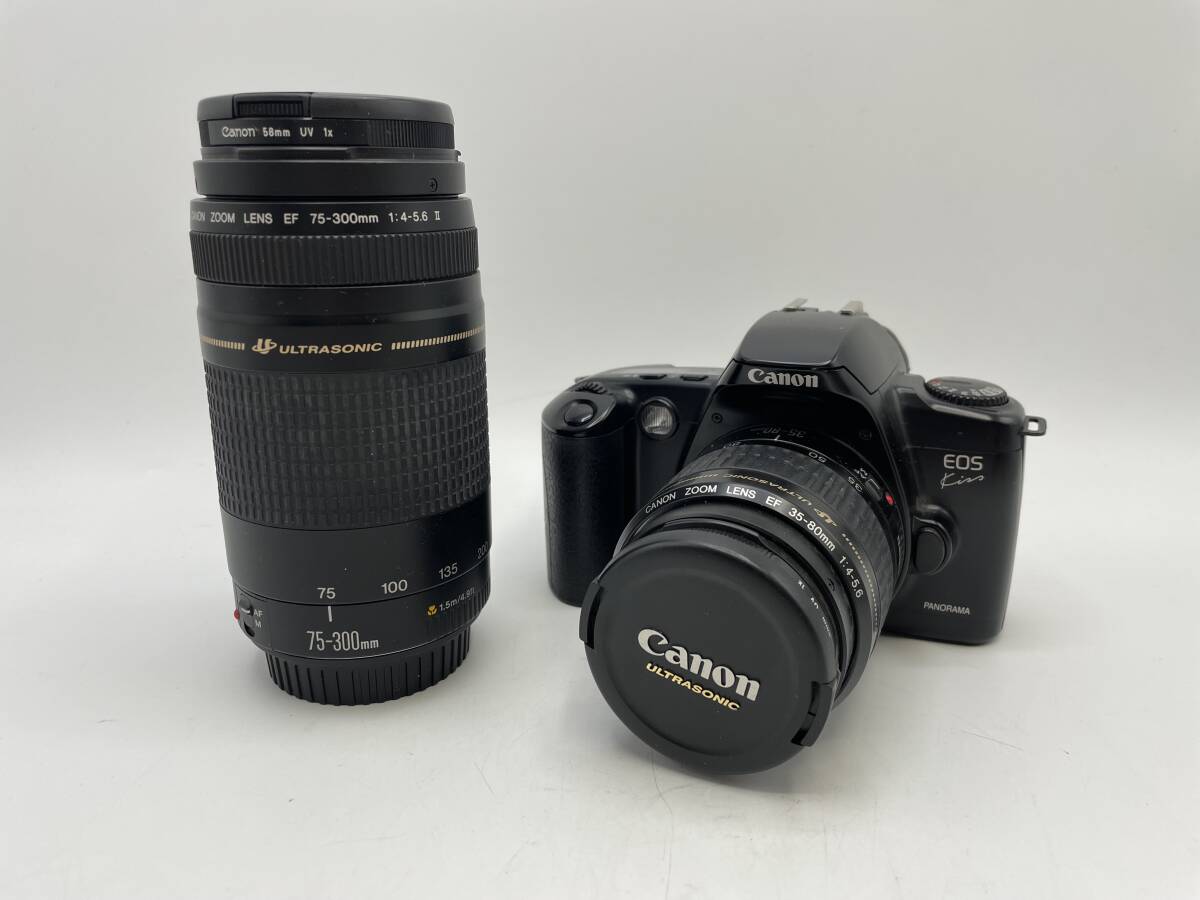 美品・超望遠】Canon キャノン EOS KISS EF 75-300mm 1:4-5.6 Ⅱ レンズ