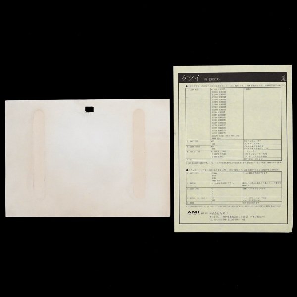 純正インストカード 取説 ケツイ 魔法大作戦 純正インストカードと取扱