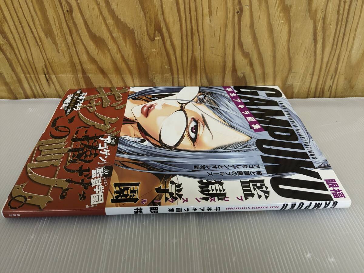 Yahoo!オークション - 【美品】平本アキラ画集 GAMPUKU 眼福 平本アキ