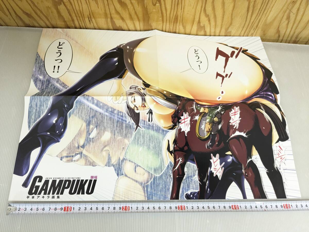 Yahoo!オークション - 【美品】平本アキラ画集 GAMPUKU 眼福 平本アキ