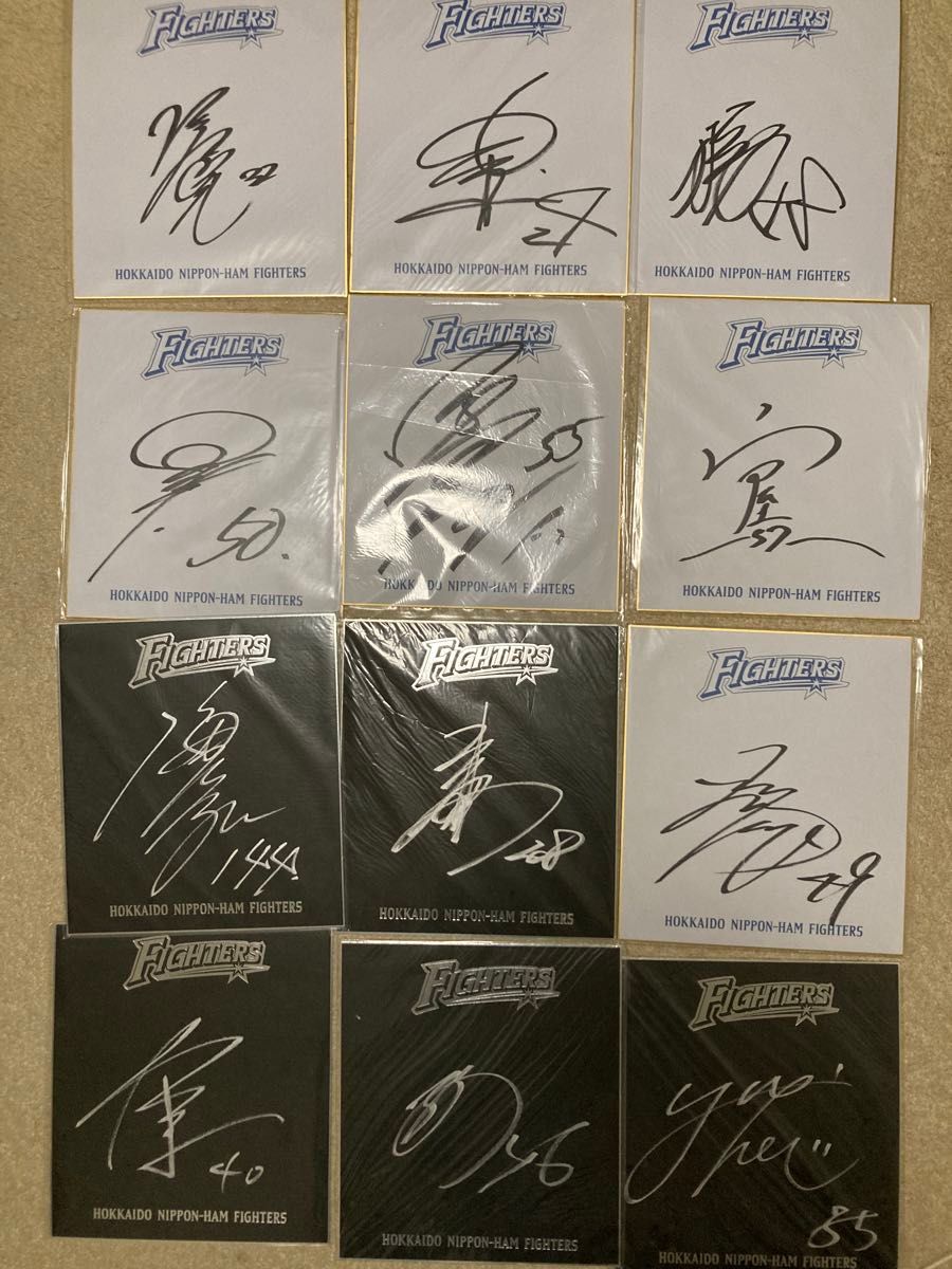 プロ野球 直筆サイン色紙 貴重 北海道日本ハムファイターズ 野球