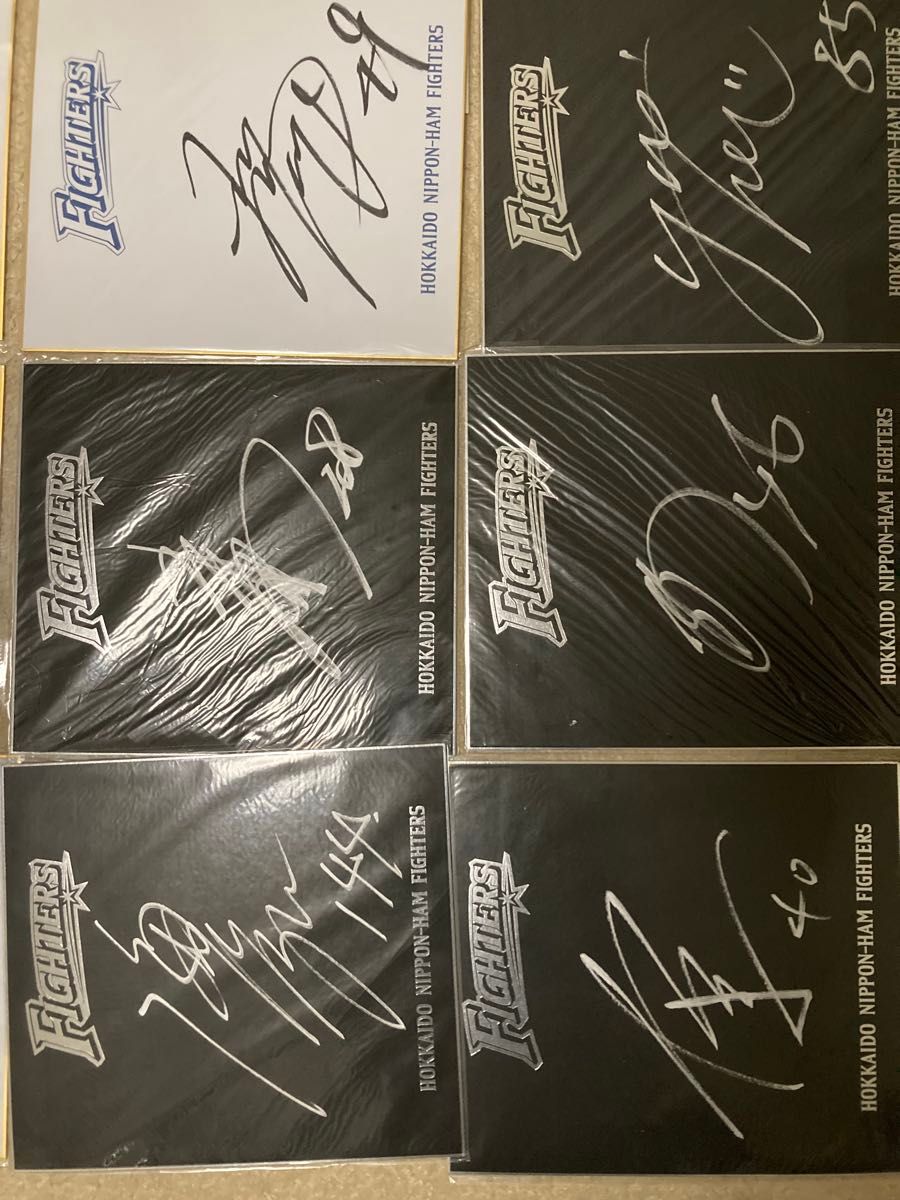 プロ野球 直筆サイン色紙 貴重 北海道日本ハムファイターズ 野球