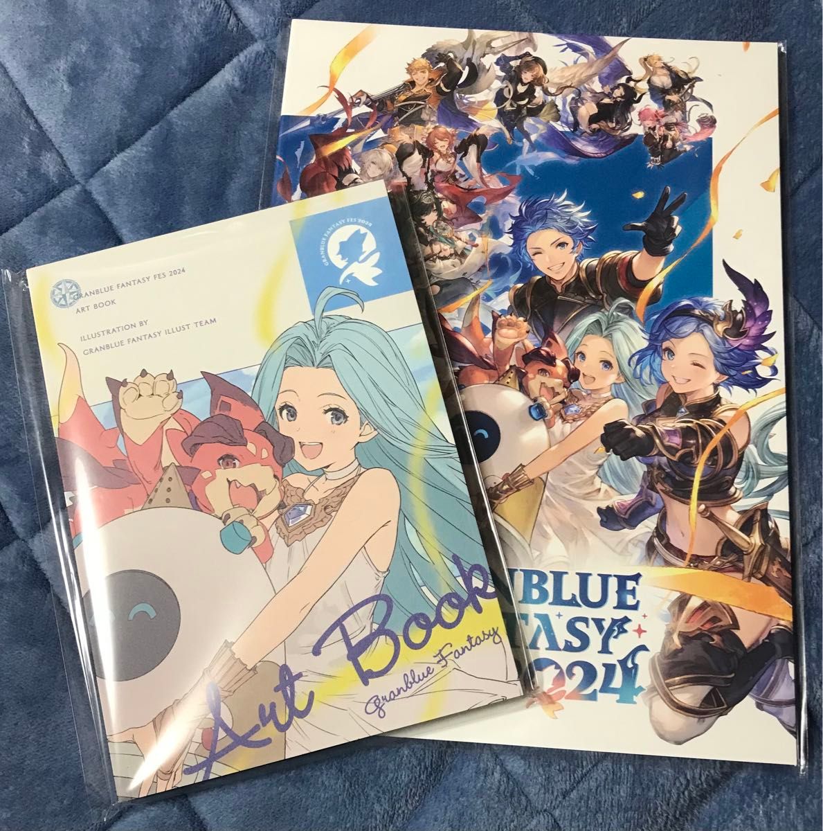 グラブルフェス2024 パンフレット コード未使用 グランブルー