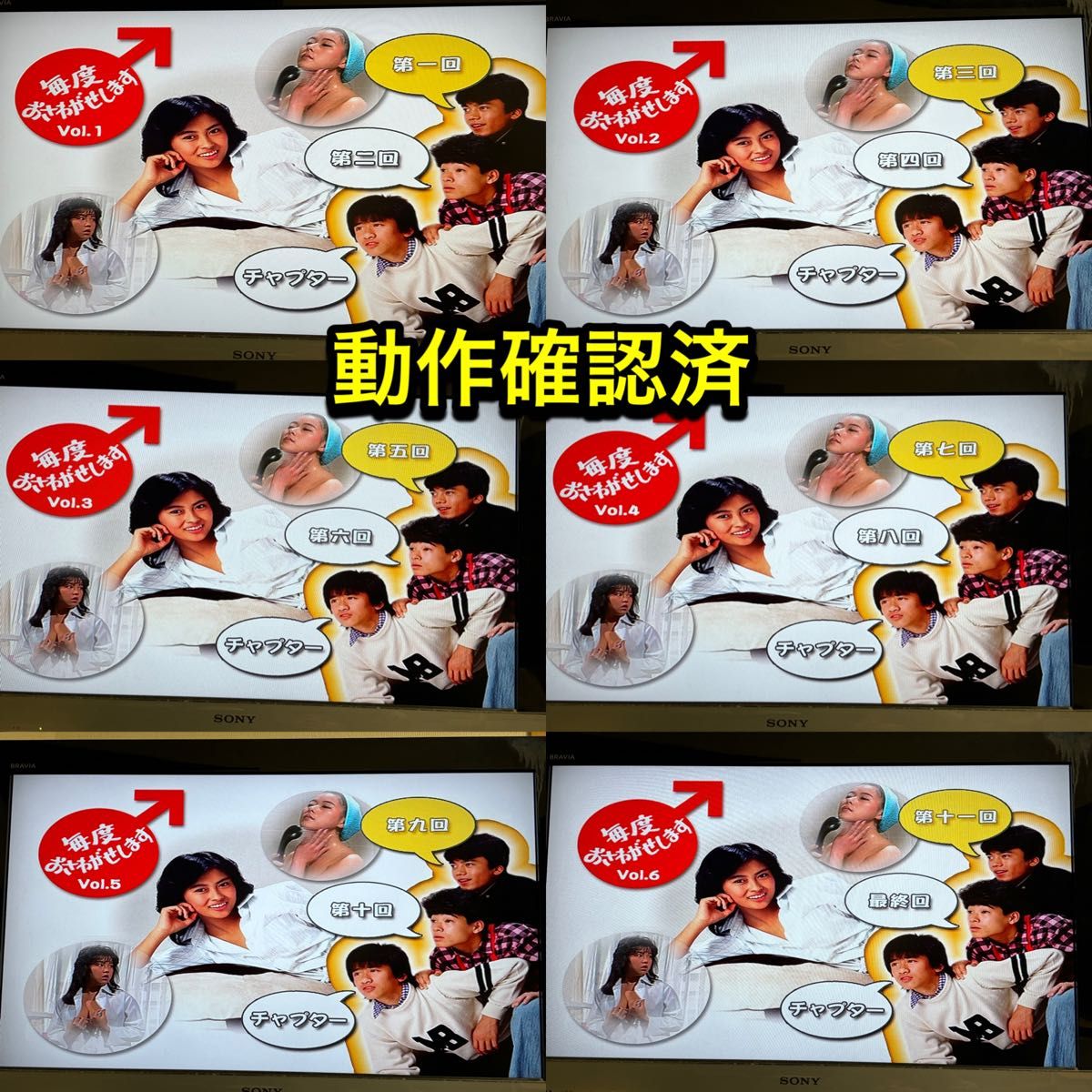 毎度おさわがせします DVD全14巻セット 中山美穂 木村一八｜Yahoo