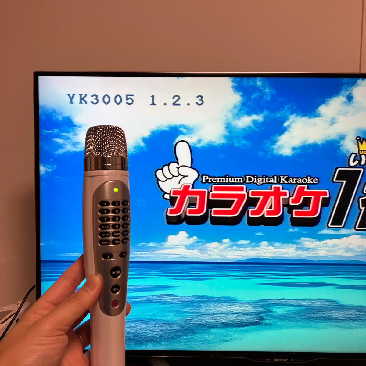 夢グループ カラオケ1番 YK-3005 ＋何曲か入り｜Yahoo!フリマ（旧