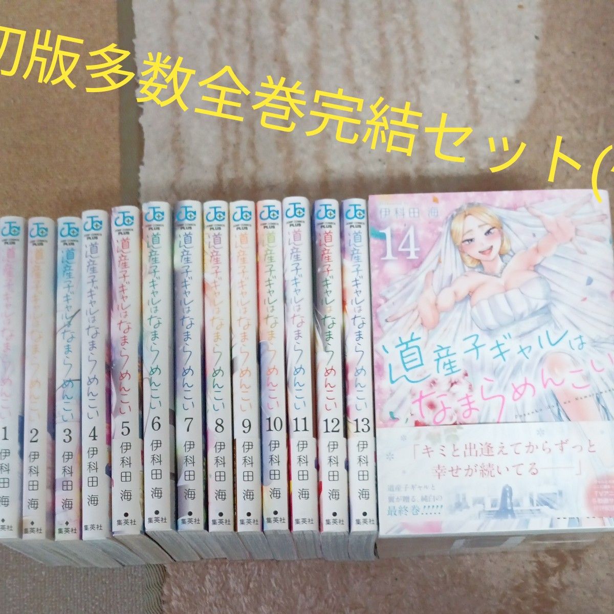 初版多数 全巻セット 完結セット 14巻セット 道産子ギャルはなまら