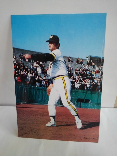 Yahoo!オークション - プロ野球 南海ホークス 江夏豊 大判サイズ ホー