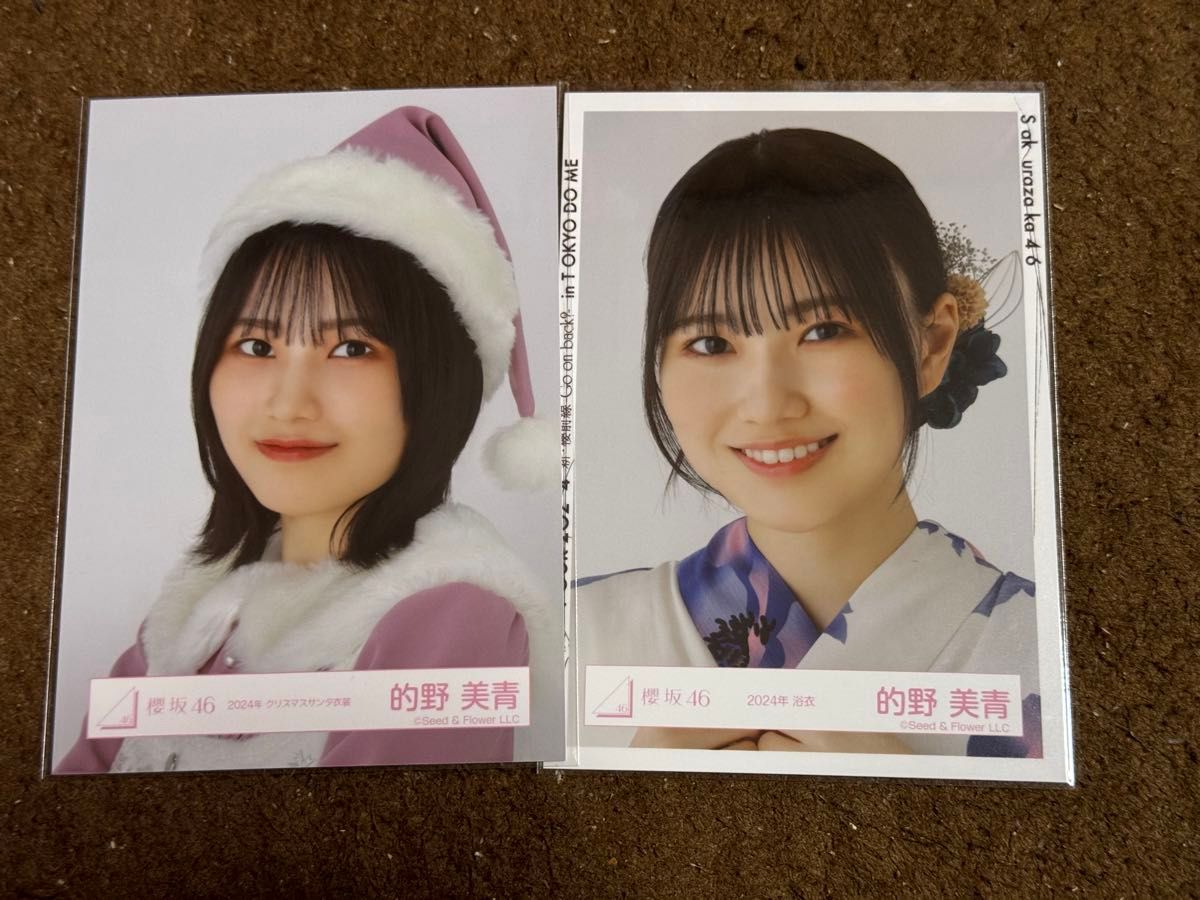 ニ*イ様 櫻坂46 的野美青 2024年 クリスマスサンタ衣装 直筆サイン