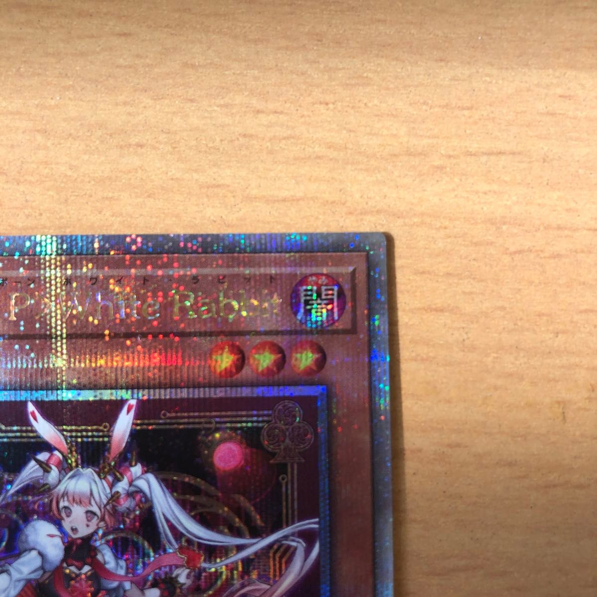 遊戯王 M∀LICE＜P＞White Rabbit マリス ホワイトラビット クオシク