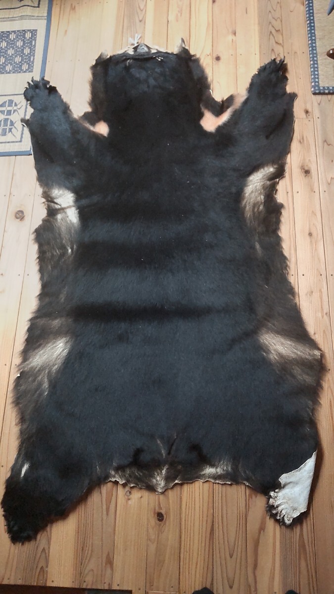 Yahoo!オークション - ツキノワグマの 毛皮 敷物 インテリア