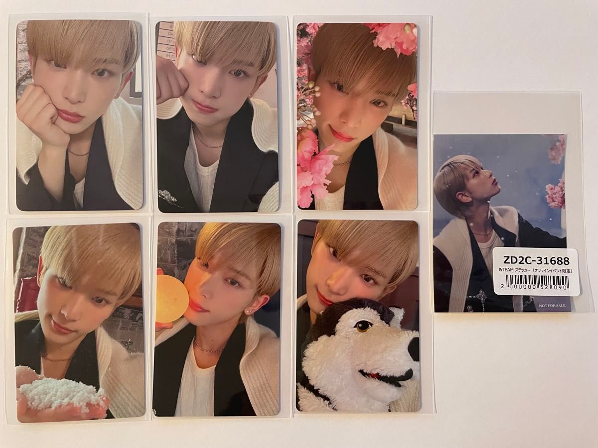 &TEAM 雪明かり HARUA ハルア トレカセット｜Yahoo!フリマ（旧PayPay