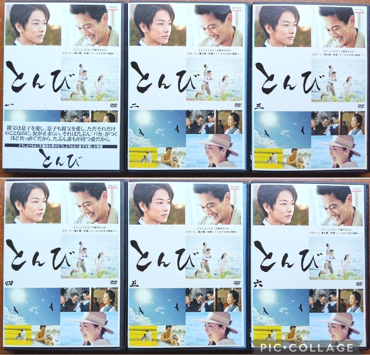DVD とんび ドラマ 全巻セット 内野聖陽 佐藤健 常盤貴子 重松清