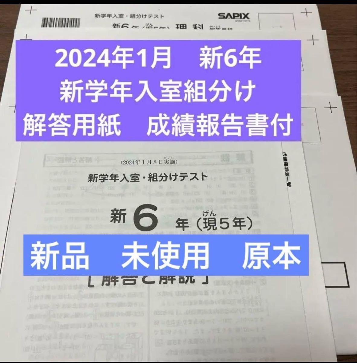 最新 新6年原本 2024年 サピックス 新学年入室・組分けテスト 違法