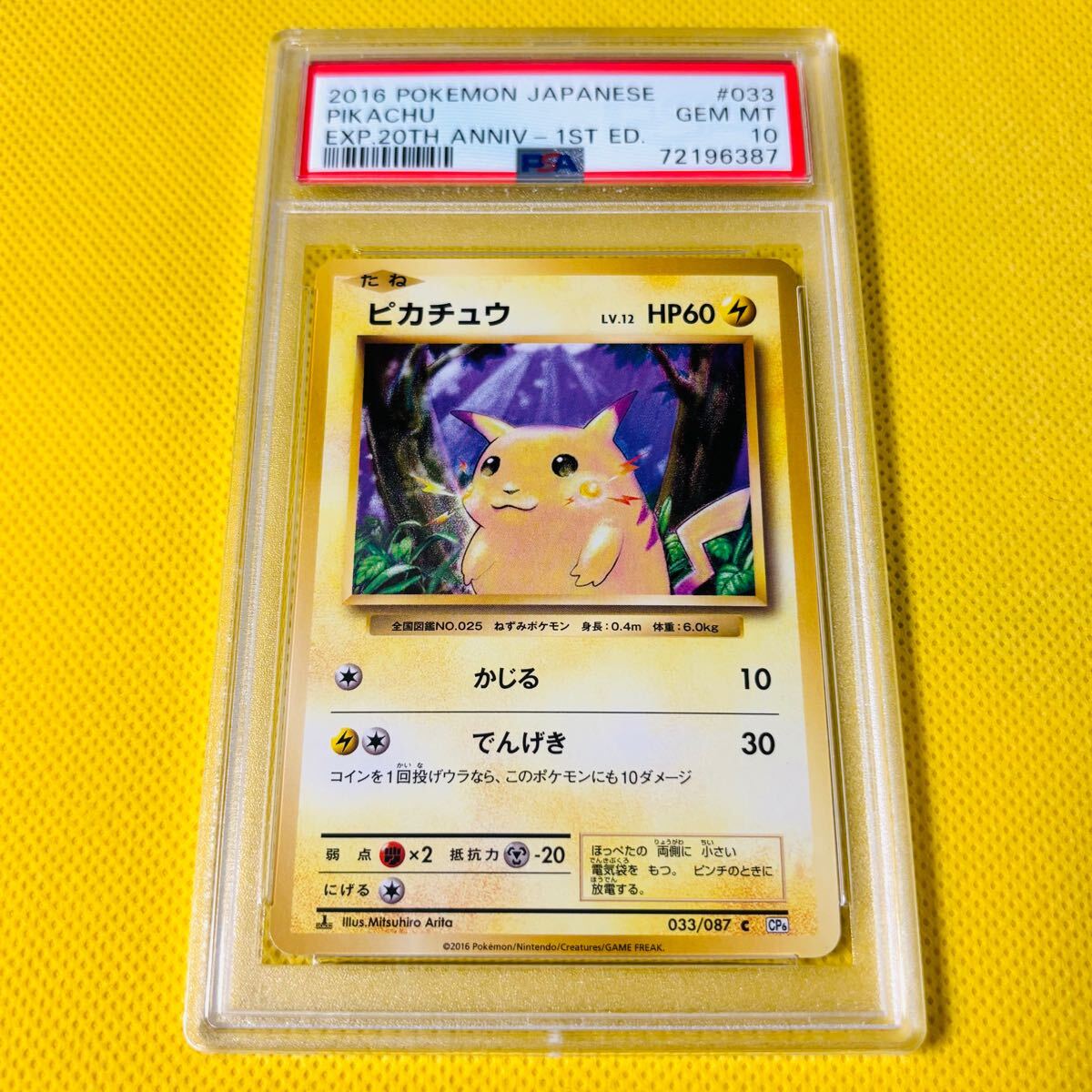 PSA10 ピカチュウ XY-P 2016 ピカチュウ ポケモンカード GEM MT 10