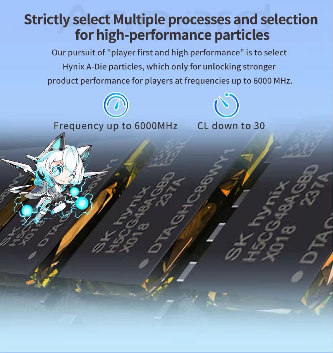 ADATA ROG STRIX 吹雪 メモリ 48GB DDR5-6800 ADATA ROG STRIX 吹雪