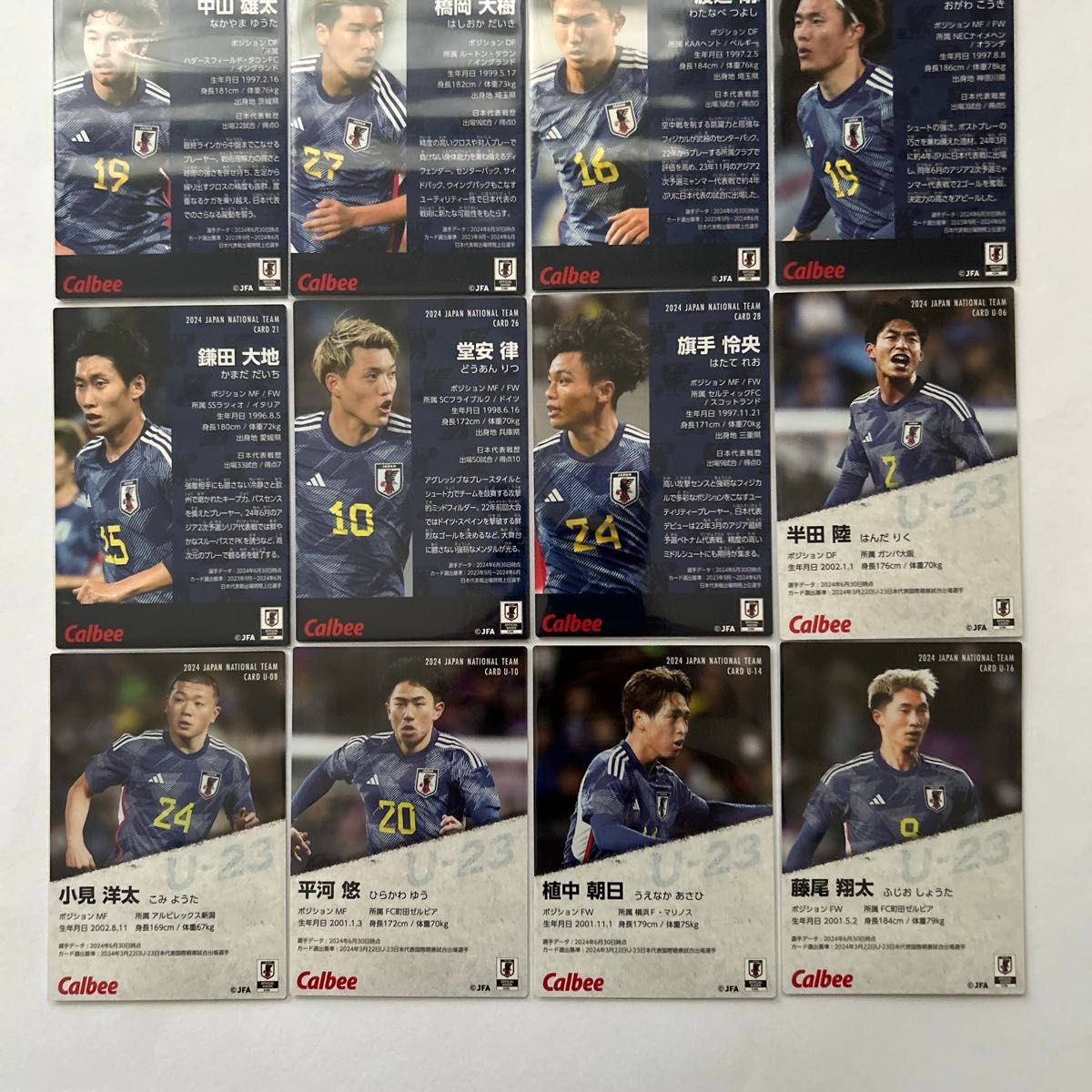 02カルビーJリーグカード日本代表234枚セミコンプセット（コンプまで2