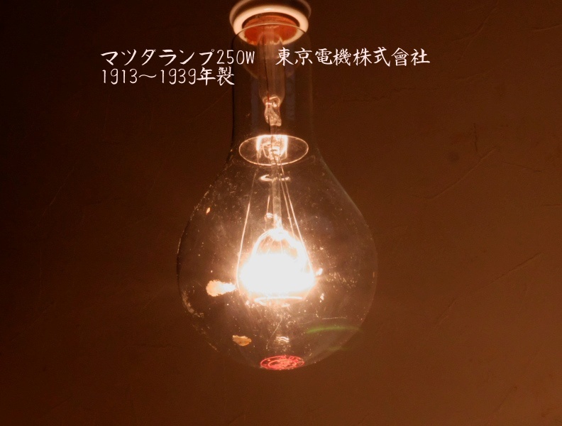 マツダランプ250W 電球 白熱電球 点灯可能 東京電機株式會社 1913