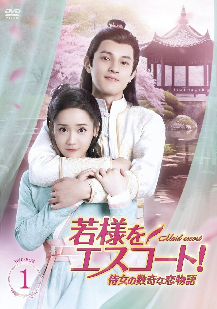 新品】君さえいれば 金枝玉葉('94香港) DVD 君さえいれば 金枝玉葉(94