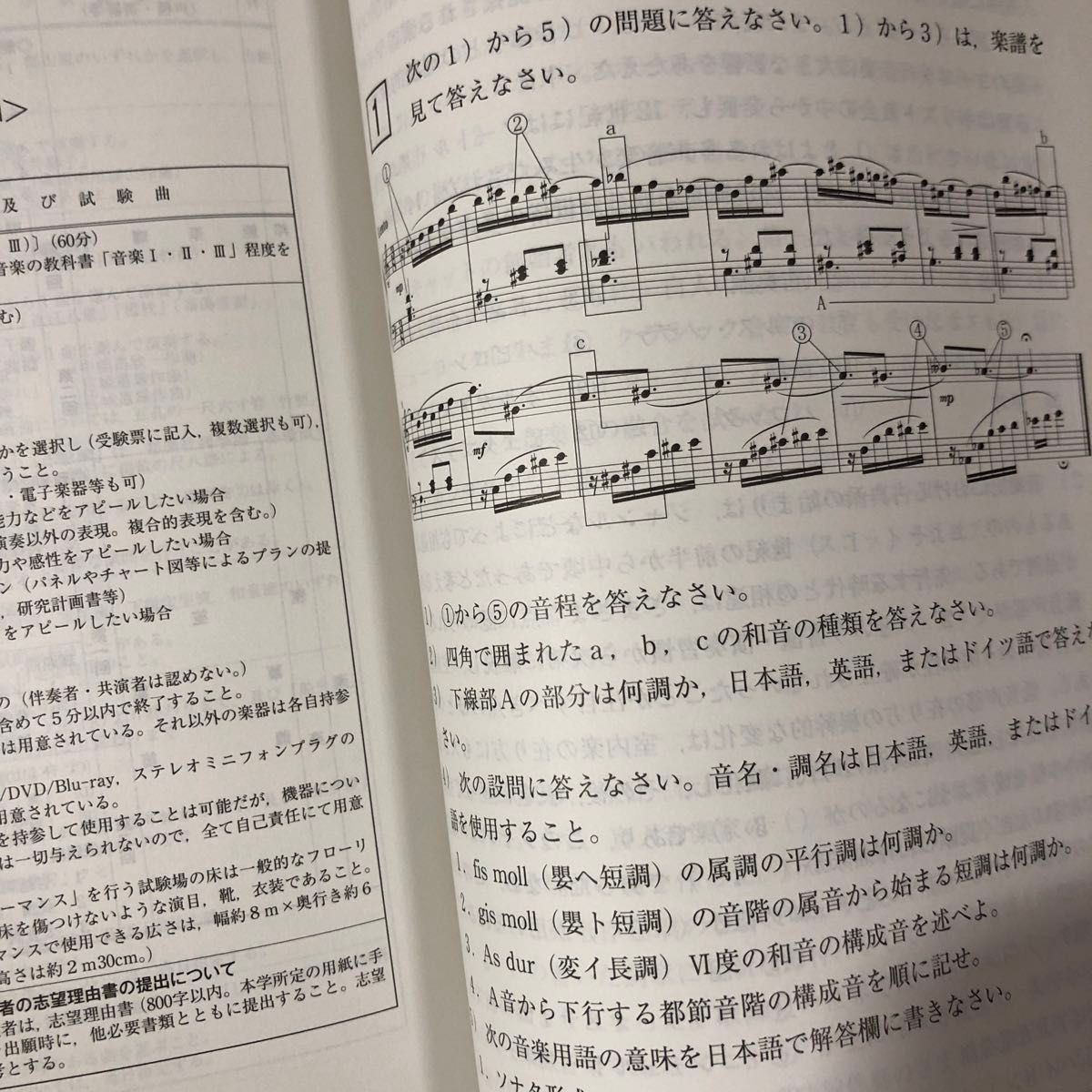 東京芸術大学 (2024年版 大学入試シリーズ) の赤本/東京藝術大学の過去