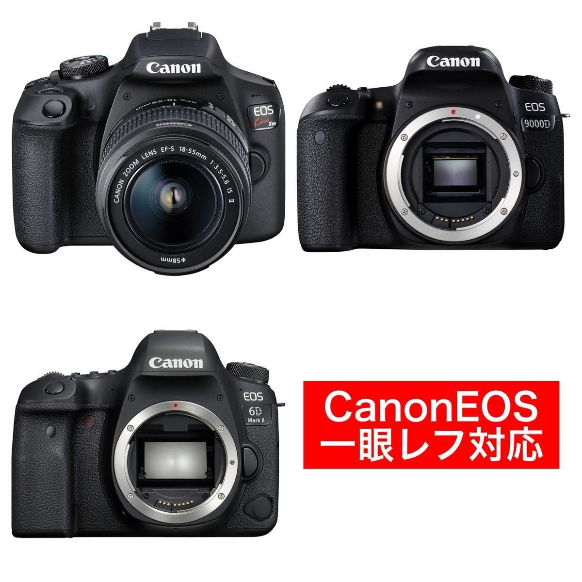 Canon デジタル一眼レフカメラ 標準ズームレンズ付き ロッキーゆきんこ