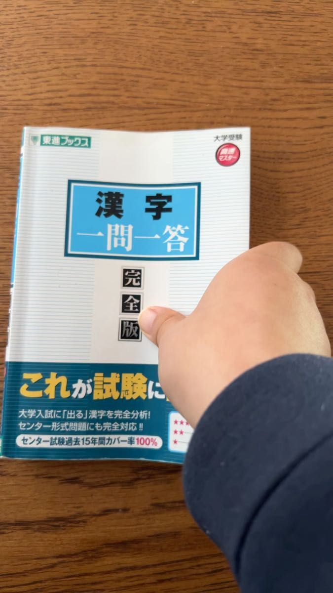漢字一問一答 完全版 （東進ブックス 大学受験高速マスターシリーズ