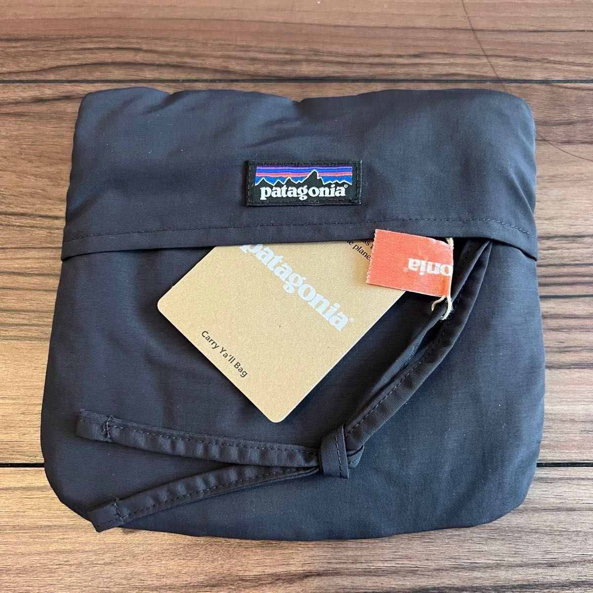 希少カラー パタゴニア キャリーエールバッグ スペシャル Patagonia