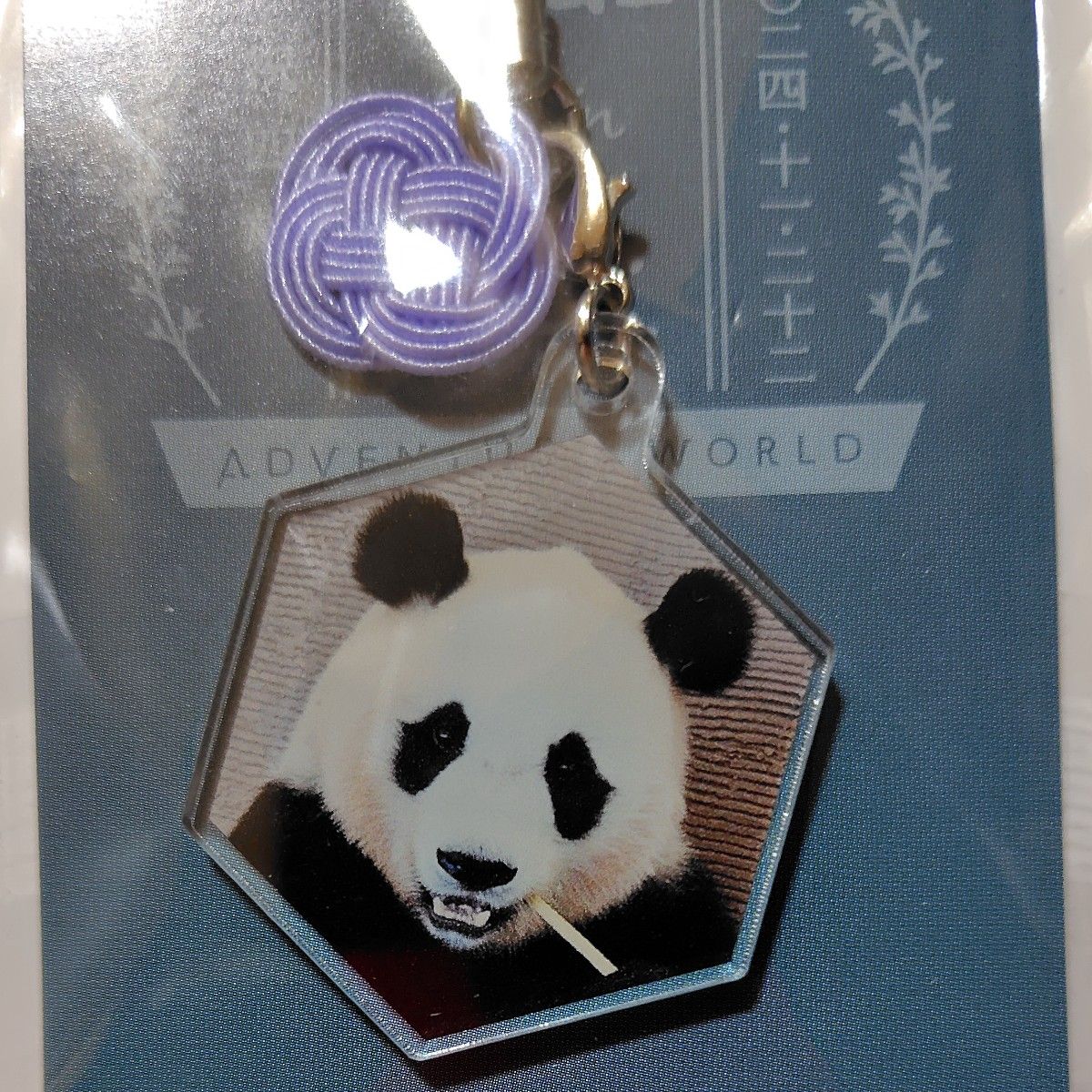 アドベンチャーワールド パンダ 水引ストラップ 良浜 結浜 彩浜 楓