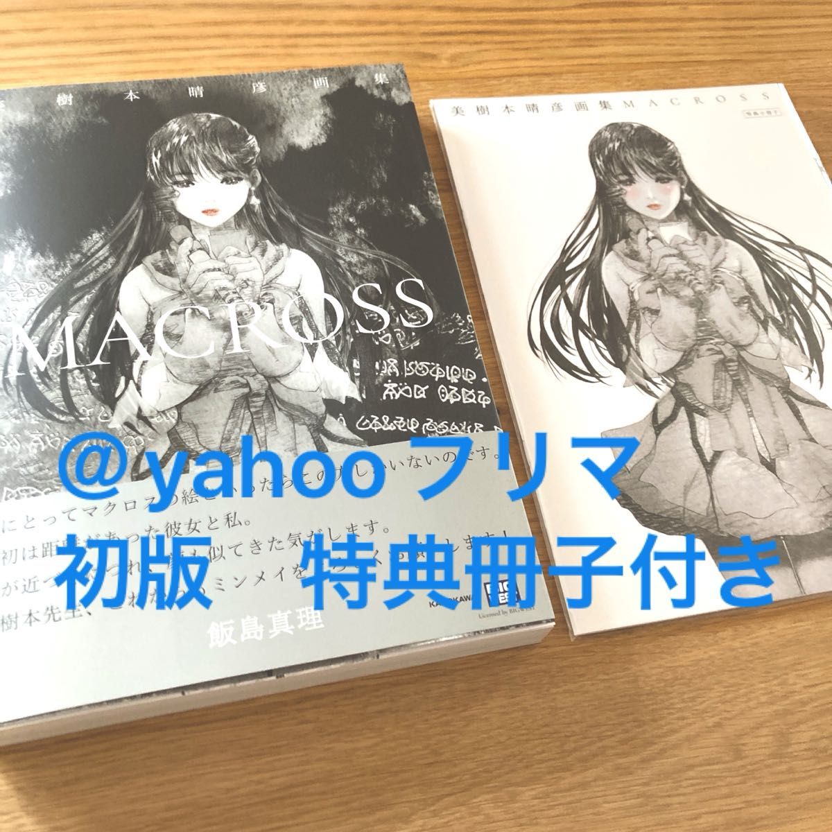 美樹本晴彦 画集 MACROSS マクロス 初版帯付き リンミンメイ 飯島真理