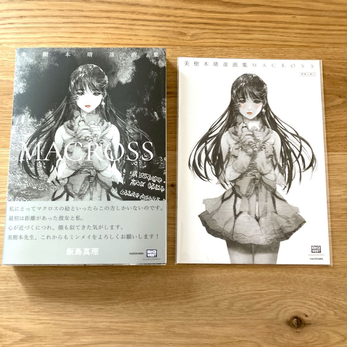 美樹本晴彦 画集 MACROSS マクロス 初版帯付き リンミンメイ 飯島真理