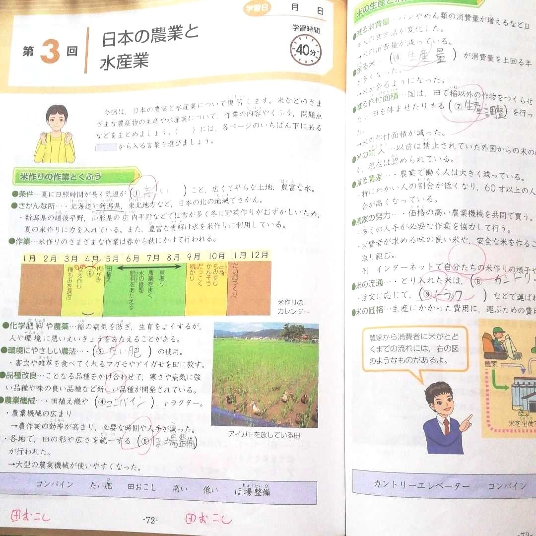 Z会 エブリィスタディ 小5コース 8月～9月号（計2か月分）答えと