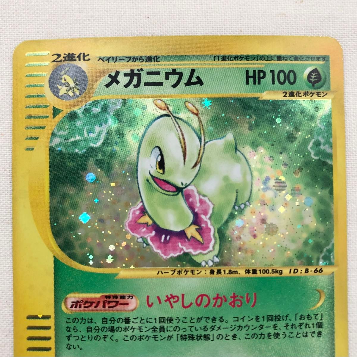 メガニウム カードe PSA10 キラ ノーマル セット 連番 メガニウム