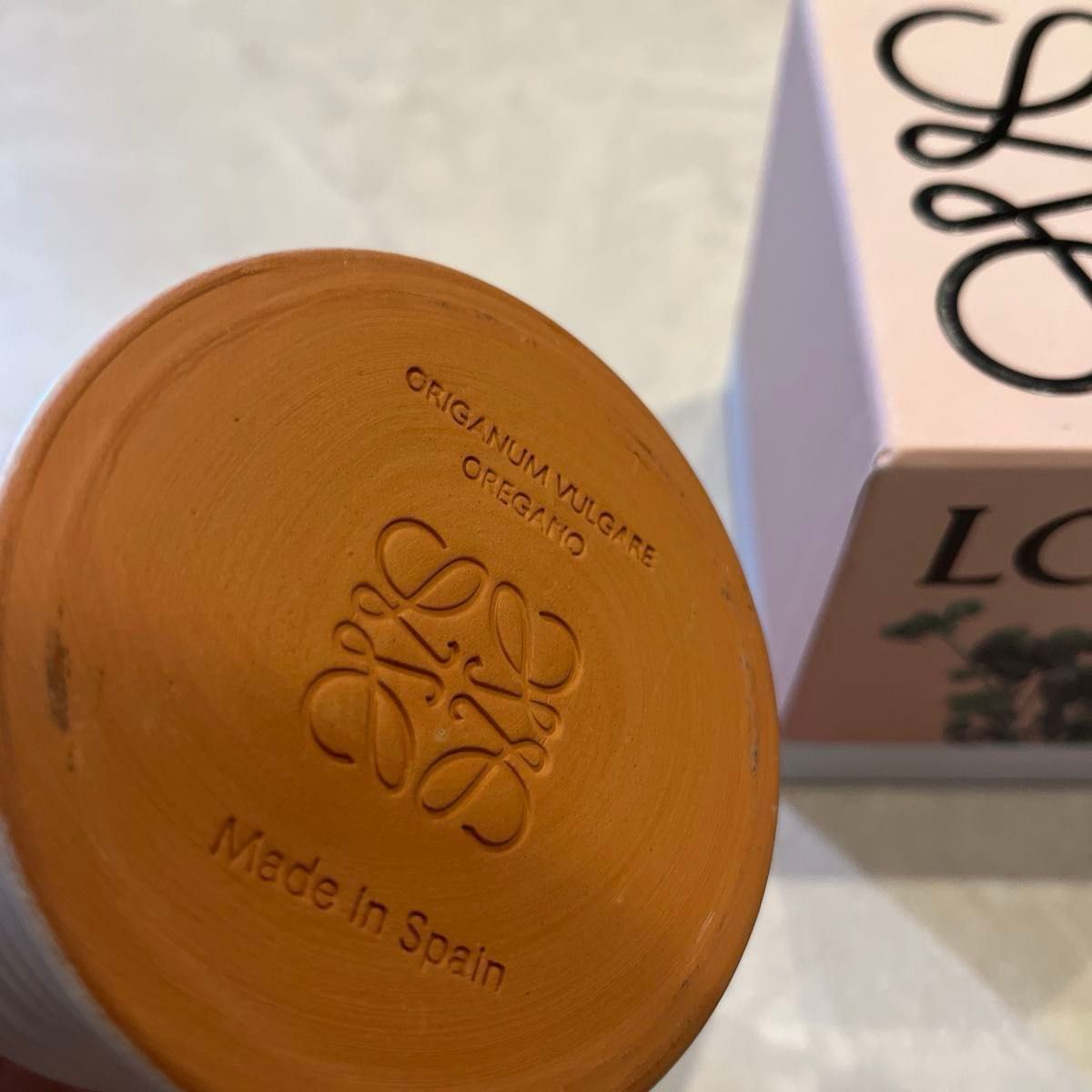 LOEWE ロエベ オレガノ キャンドル 170g ロエベキャンドル アロマ