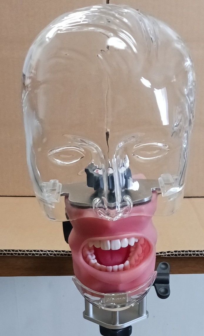 R7 0430 ① 歯科器具機器 顎 模型 技工 歯牙 見本 サンプル診療練習