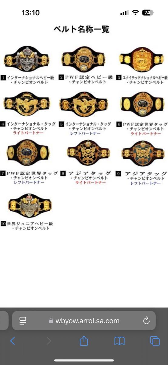 全日本プロレス チャンピオンベルト10種コンプリート