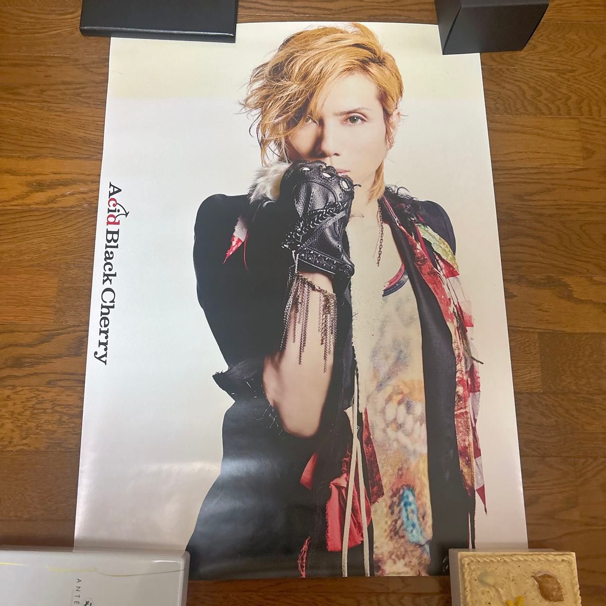 Acid Black Cherry ポスター 12点 まとめ売り｜Yahoo!フリマ（旧PayPay