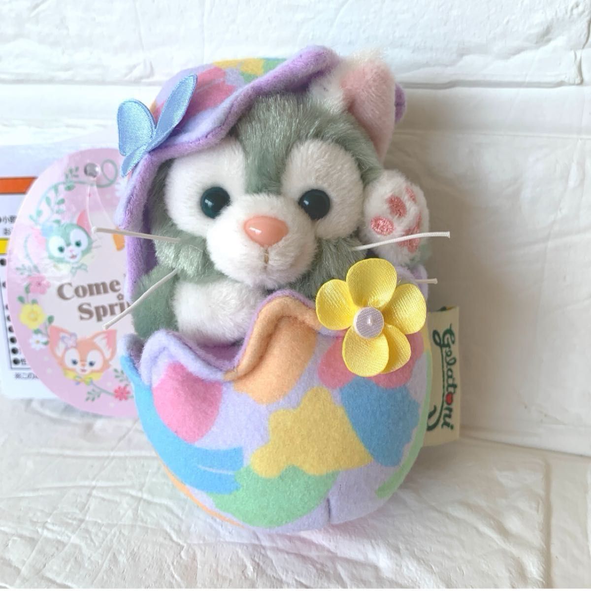 東京ディズニーシー限定 ダッフィー＆フレンズ カムファインド