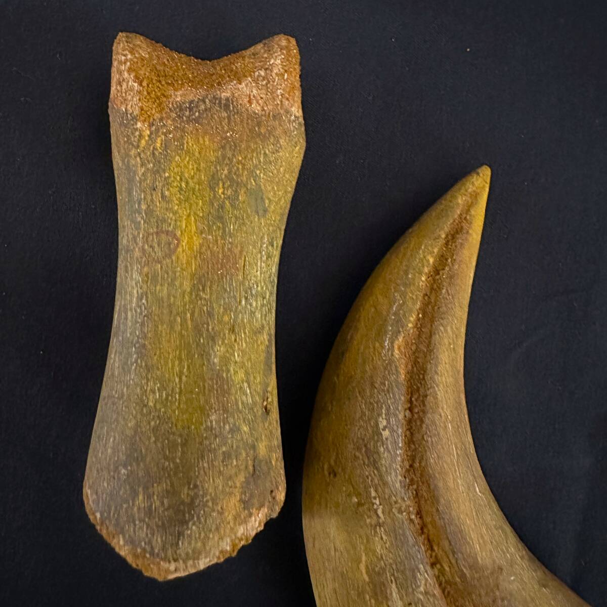 Yahoo!オークション - スピノサウルス Spinosaurus ハンドクロウ かぎ