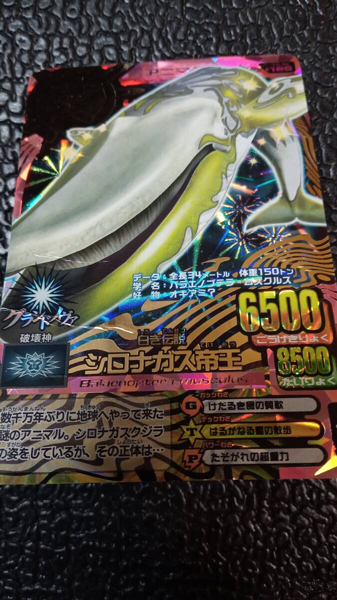 Yahoo!オークション - アニマルカイザー シロナガス帝王