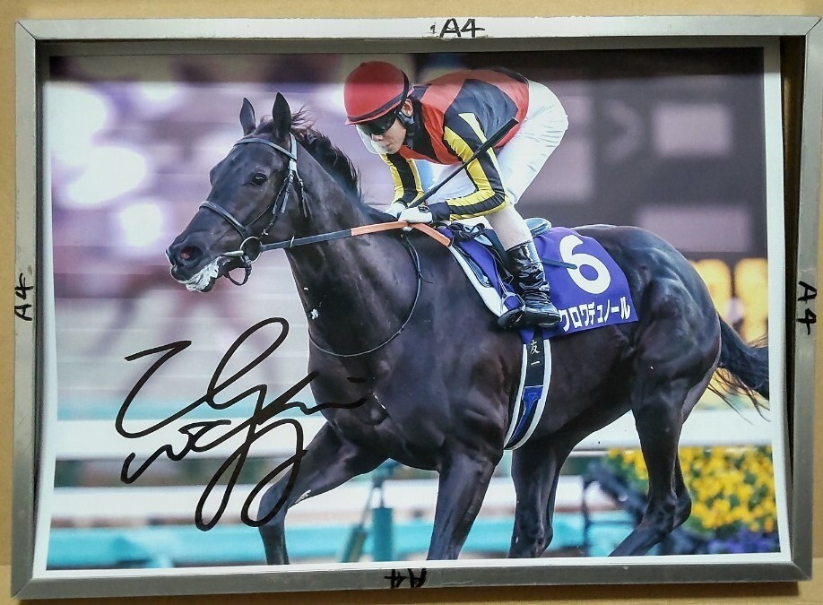 Yahoo!オークション - 北村友一騎手直筆サインパネル クロワデュノール