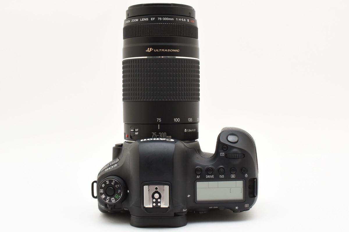 Canon EOS 6D Mark II / Canon EF 75-300㎜ 保証付き/デジタル 一眼