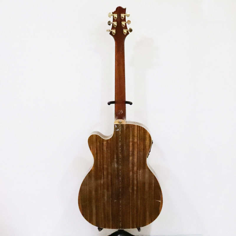 Greg Bennett グレッグベネット RIO GRANDE OM-15CE エレアコ エレキ