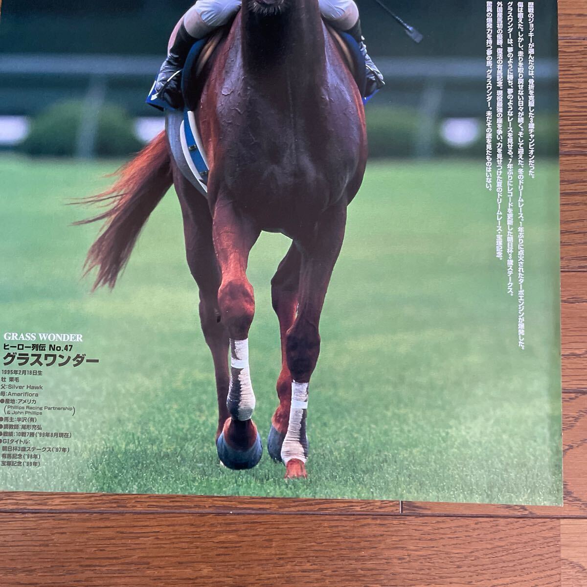 ヒーロー列伝 No.47 グラスワンダー ポスター B2 No.47 グラスワンダー
