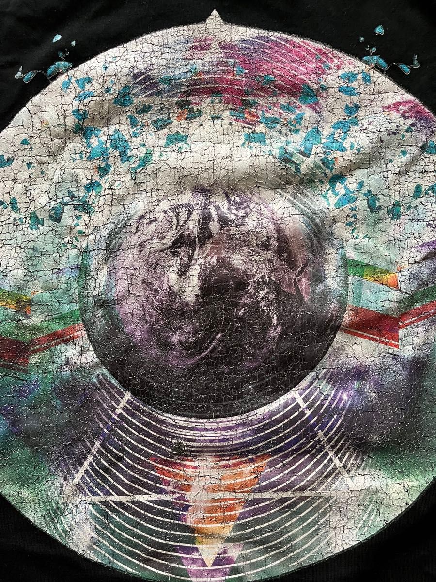 ワンオク 2015年 ONE OK ROCK 35xxxv ツアーTシャツ Lサイズ ブラック