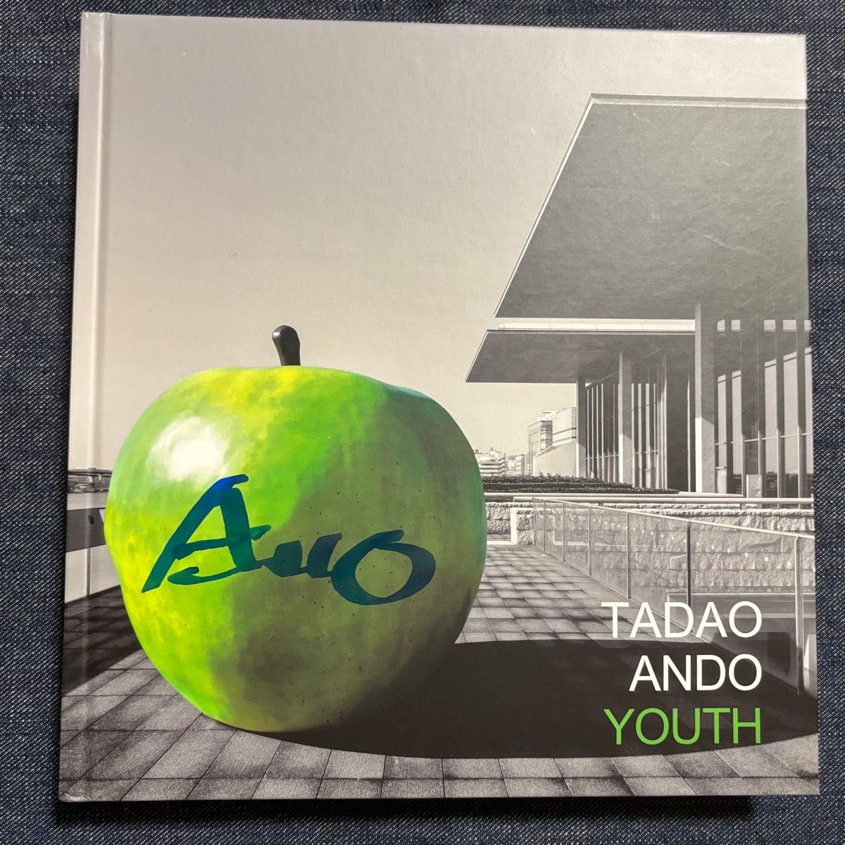 TADAO Tadao Ando Youth 安藤忠雄青春 大阪限定品 安藤さん生サイン