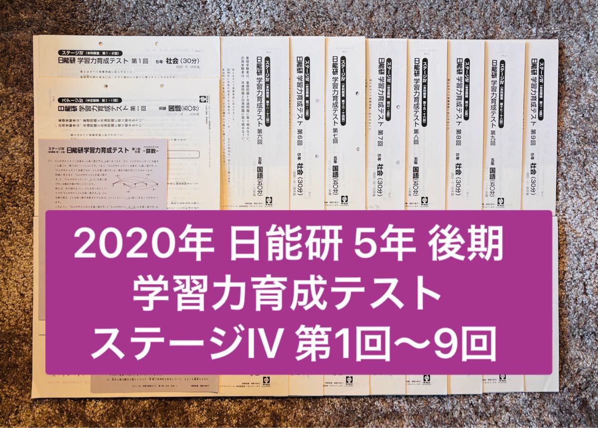 早い者勝ち 2020年 日能研 5年 後期 学習力育成テスト ステージIV 第1