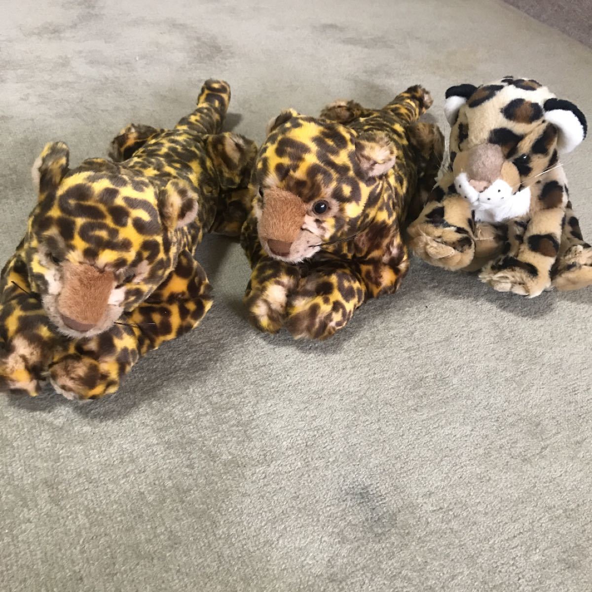 ジャガー ぬいぐるみ 非売品 車 限定品｜Yahoo!フリマ（旧PayPayフリマ）