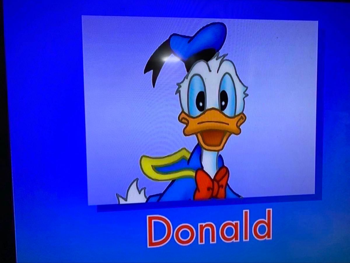 シングアロングフルセット【DWE】ディズニー英語システム ワールド