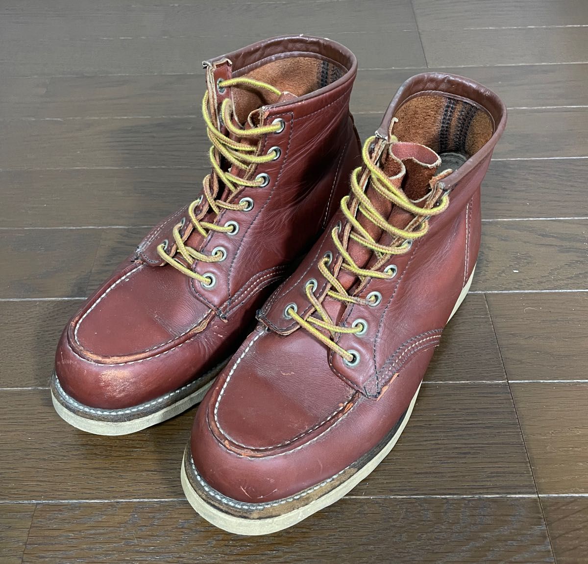 希少 表犬タグ 8875 Red Wing レッドウィング アイリッシュセッター